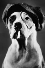 Movies directed by Pete the Dog