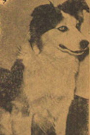Movies directed by Tuffy